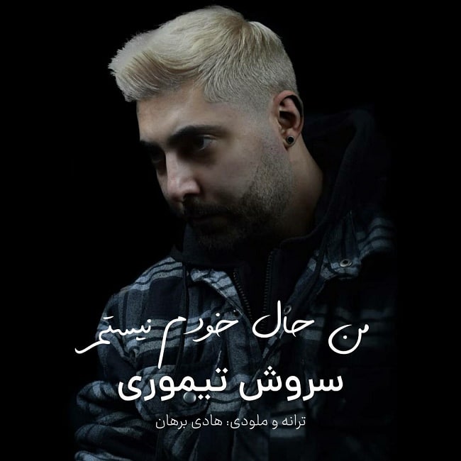 دانلود آهنگ من حال خودم نیستم